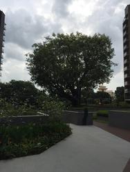 bartley-residences photo thumbnail #3